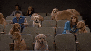 Walton Goggins Snl GIF by Saturday Night Live