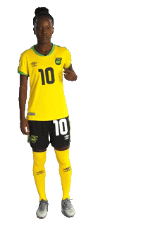 2019 Fifa Wwc Football Sticker by FIFA