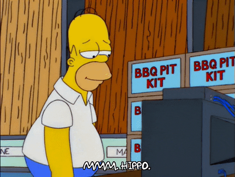 homer simpson GIF