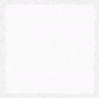 GIF by hamasakihaus