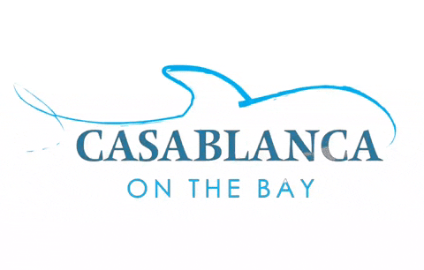 casablancaonthebay  GIF