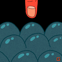 Bubble Wrap Oh Come On GIF by gifnews