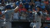 High Five Blue Jays GIF by Toronto Blue Jays