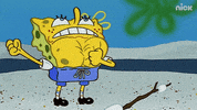 GIF by SpongeBob SquarePants