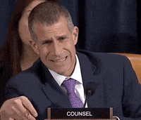 news cringe impeachment impeachment inquiry steve castor GIF