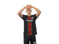 bundesliga werkself Sticker by Bayer 04 Leverkusen
