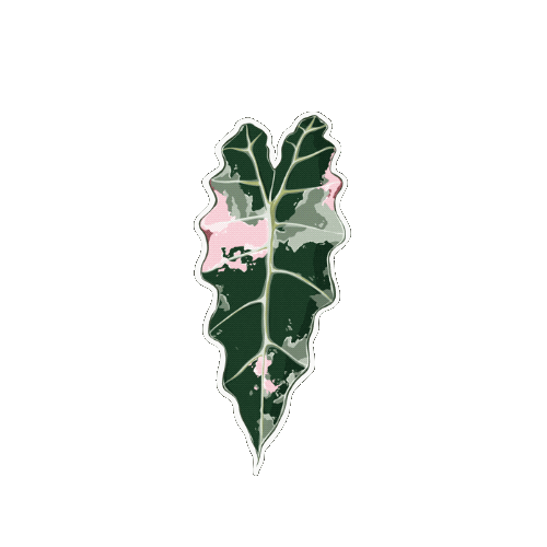 Plant Sticker by Hankō