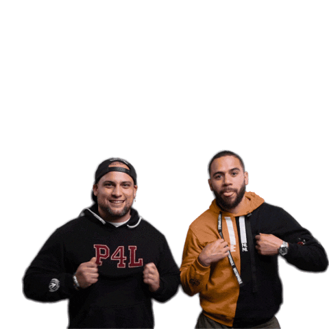 P4L Sticker by Emile Machado