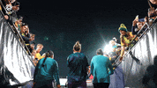 Walk Out Lydia Williams GIF by Football Australia