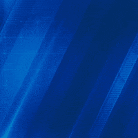 Breaking News GIF by Quixy