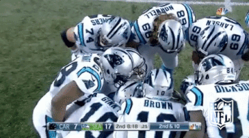 carolina panthers football GIF by NFL