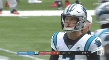 Carolina Panthers Football GIF by NFL