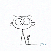 GIF by marko