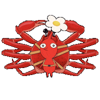 Crab カニ Sticker