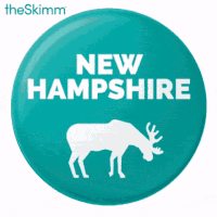 register to vote new hampshire GIF by theSkimm