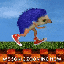 radardown sonic sonicthehedgehog sonicrunningfunny GIF