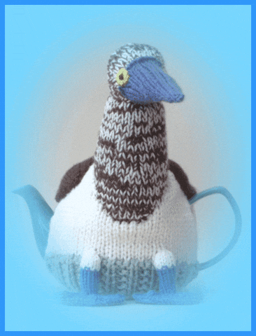 Sea Bird GIF by TeaCosyFolk