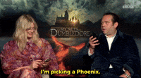 I'm Picking A Phoenix