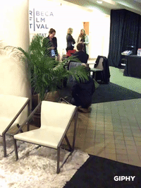 GIF by Tribeca Film Festival
