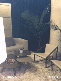 GIF by Tribeca Film Festival