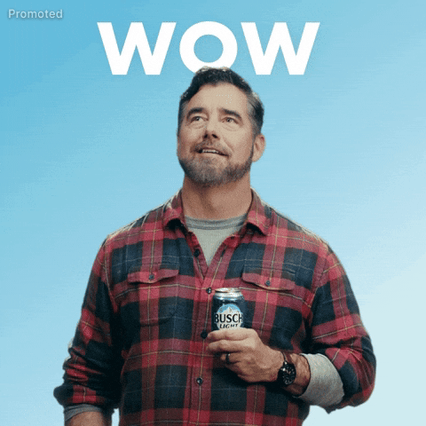 Beer Wow GIF by Busch