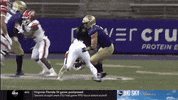 Bow Down Purple Reign GIF by Washington Athletics