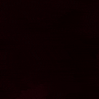 Premier League Football GIF by Southampton FC