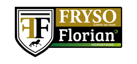 TweespanRuitersport giphyupload florian fryso kfps Sticker