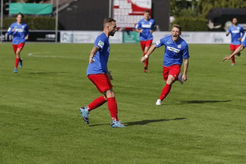 rot-blau giphygifmaker soccer fussball torjubel GIF
