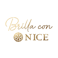 Nice28 Sticker by Niceoficialmx