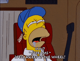 homer simpson GIF