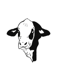 Braford Sticker by ABA