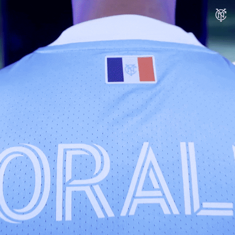 New York City Fc Reaction GIF by NYCFC