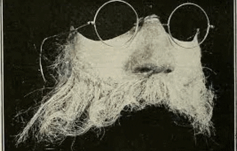 X-Ray Art GIF
