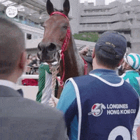 Winner Love GIF by World Horse Racing