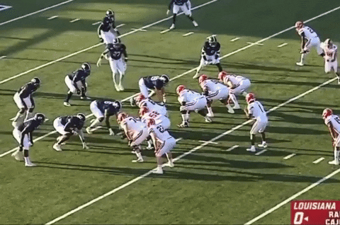 sletizia14 giphyupload GIF