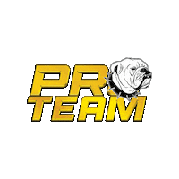 Pro Team Needle Sticker by Goliath Needles