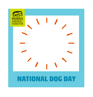 Dog Day Sticker by Morris Animal Foundation