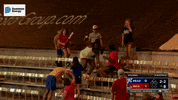 Dance Baseball GIF by Richmond Flying Squirrels