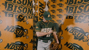 Baseball Bison GIF by NDSU Athletics