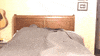 Lets Go Bed GIF by University of Louisiana at Lafayette