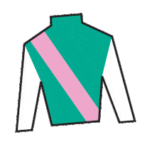 Horse Racing Silk Sticker by Kentucky Derby