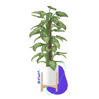 Plugin Sticker by Estant.pro