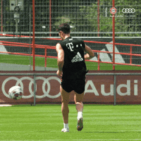 Robert Lewandowski Work GIF by FC Bayern Munich