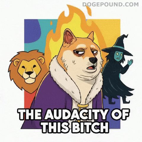 The Audacity Omg GIF by Doge Pound