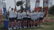Sjsu GIF by San Jose State Spartans