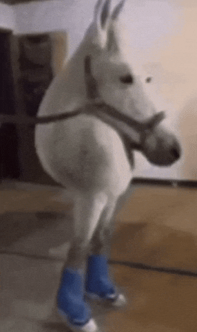 Ahlelele Ahlelas GIF