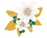 Flowers Garden Sticker