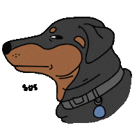 Suspicious Dog Sticker