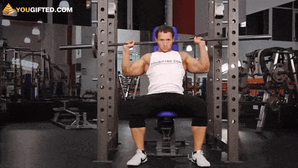 bodybuilding-and-fitness giphyupload zhim GIF